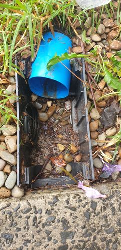 Screenshot_20231129-111945_Gallery.jpg Screenshot_20231129-111945_Gallery.jpg