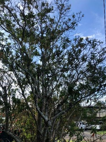 2DE1BBD0-C00A-434D-BCE0-F216D40EE302.jpeg 2DE1BBD0-C00A-434D-BCE0-F216D40EE302.jpeg