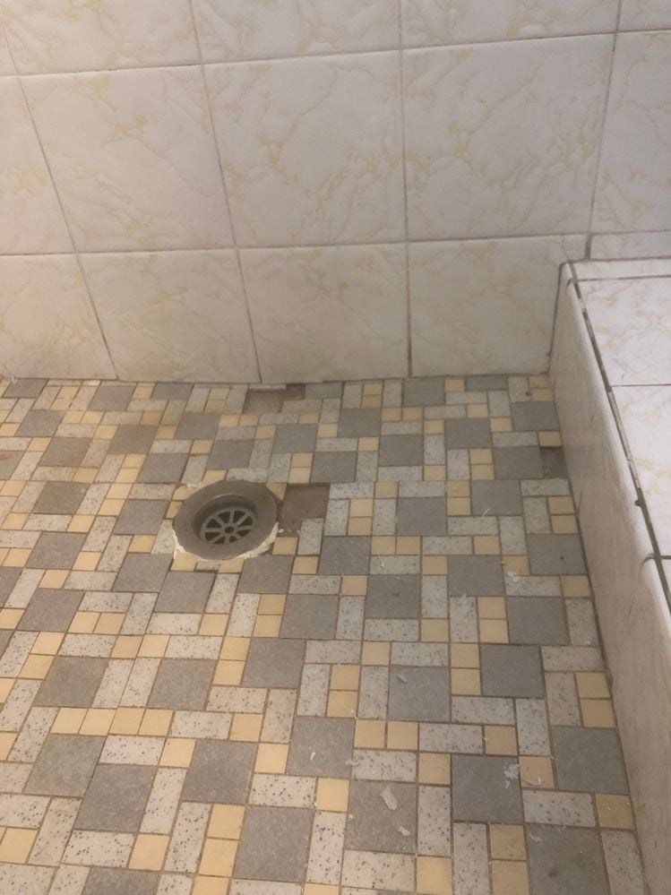 IMG_1146.jpg IMG_1146.jpg