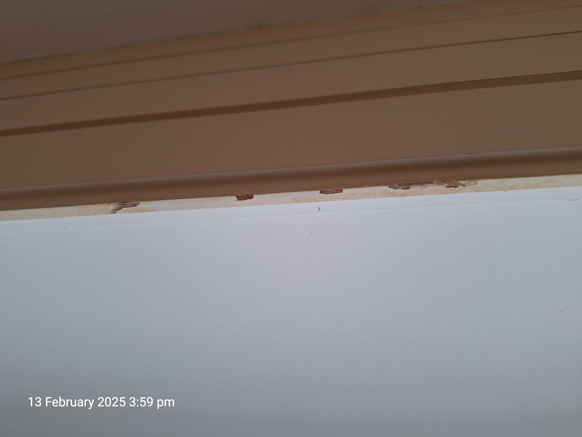 20250213_155914.jpg 20250213_155914.jpg