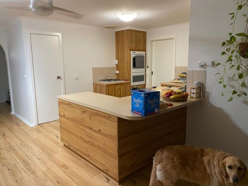 48F7A33E-F834-4C40-A5AC-48AE71E3E628.jpeg 48F7A33E-F834-4C40-A5AC-48AE71E3E628.jpeg