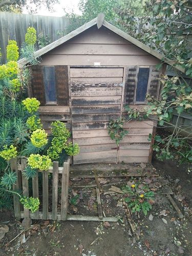 cub 1.0.jpg cub 1.0.jpg