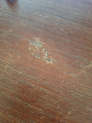 20240109_082658.jpg 20240109_082658.jpg