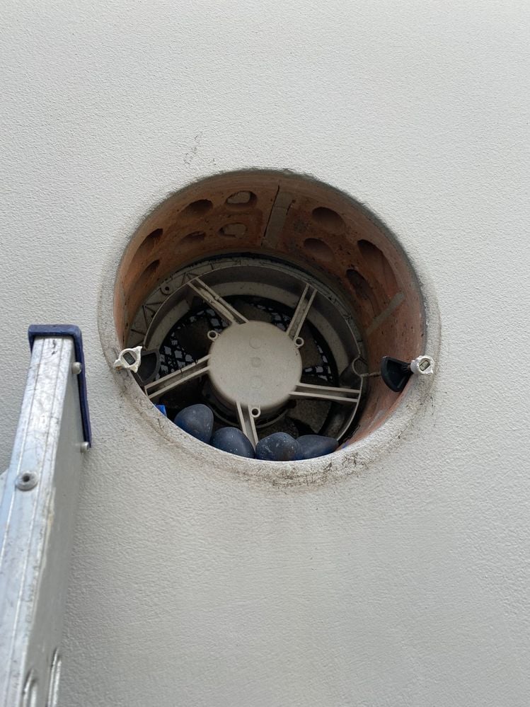 IMG_0546.jpeg IMG_0546.jpeg