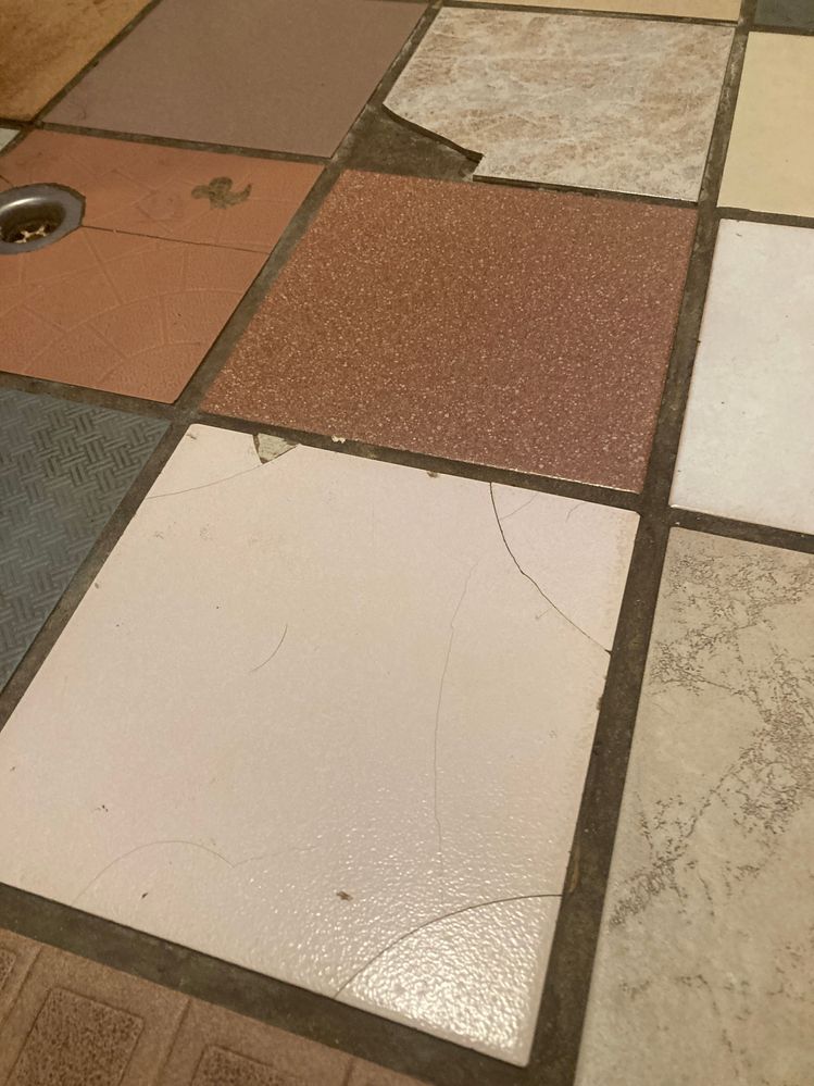 IMG_2927.JPG IMG_2927.JPG