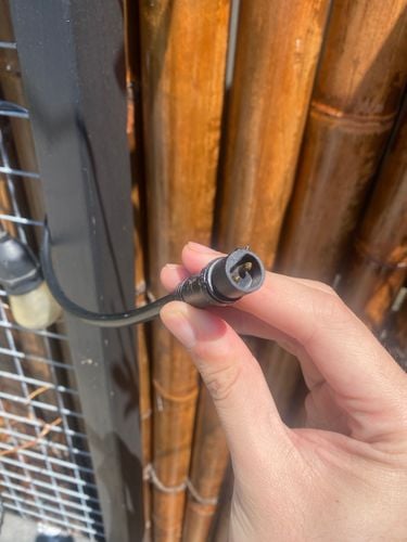 IMG_2503.jpeg IMG_2503.jpeg