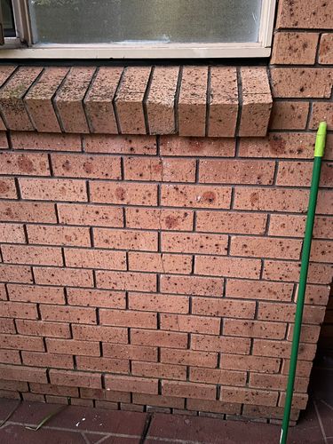 IMG_7420.jpeg IMG_7420.jpeg