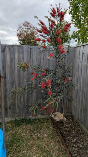 1000015427.jpg 1000015427.jpg