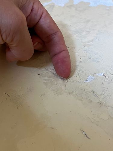 IMG_5471.jpeg IMG_5471.jpeg