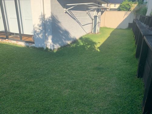 IMG_0052.jpeg IMG_0052.jpeg