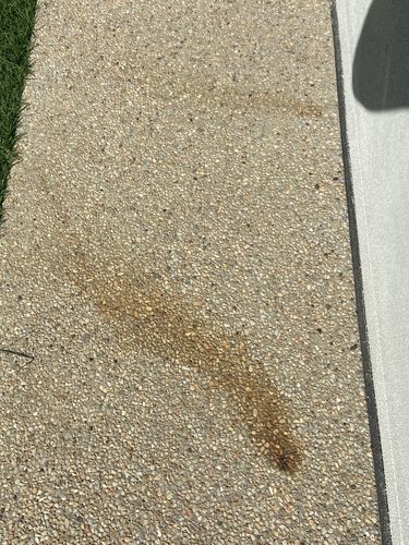 C786BC7C-40C7-496D-B20E-1EA9E2522BF8.jpeg C786BC7C-40C7-496D-B20E-1EA9E2522BF8.jpeg