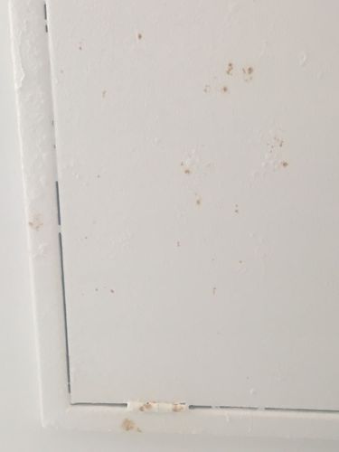 51B48988-A742-41B2-9B29-7F15A3E0E59C.jpeg 51B48988-A742-41B2-9B29-7F15A3E0E59C.jpeg