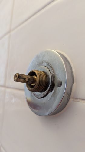 1000019266.jpg 1000019266.jpg