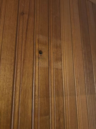 IMG_7494.jpeg IMG_7494.jpeg