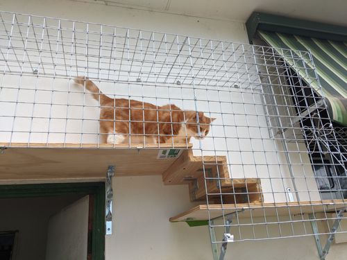 PXL_20230315_214434265.jpg PXL_20230315_214434265.jpg