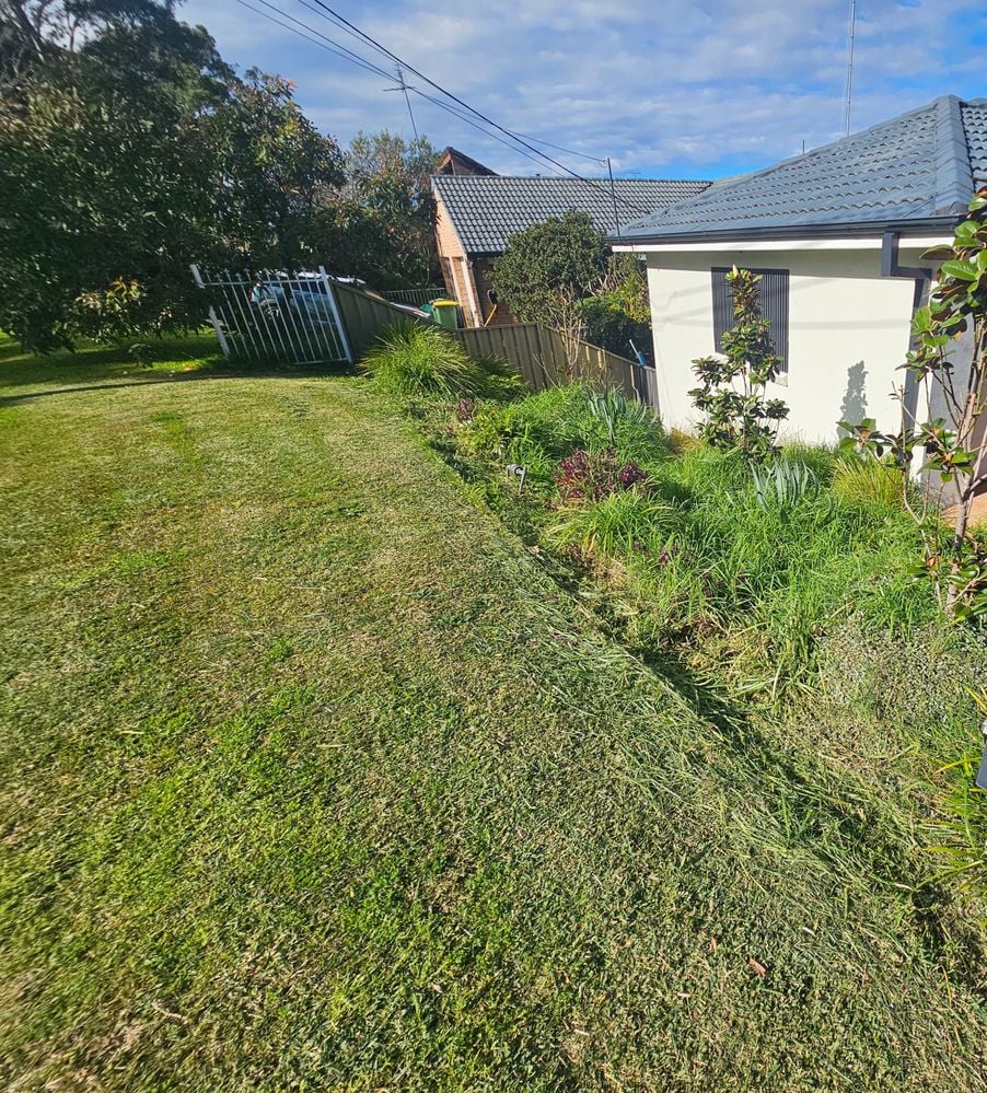 20240710_114729.jpg 20240710_114729.jpg