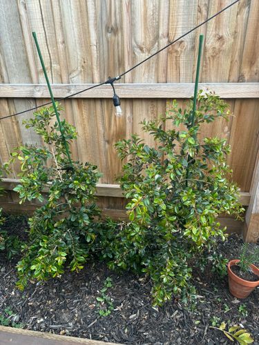 IMG_6043.jpeg IMG_6043.jpeg