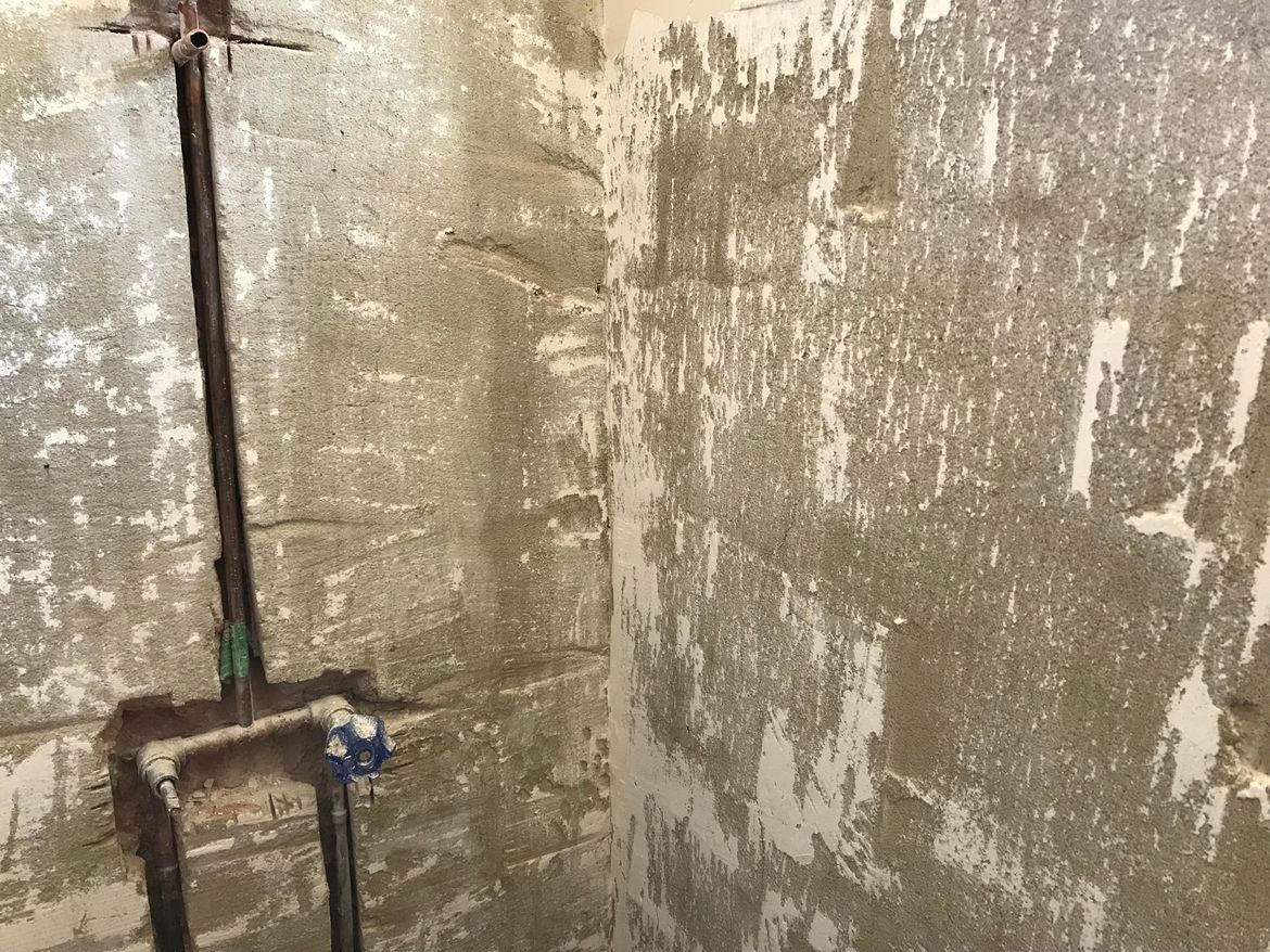 IMG_2634.jpeg IMG_2634.jpeg