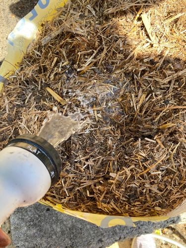 IMG_0838.jpeg IMG_0838.jpeg