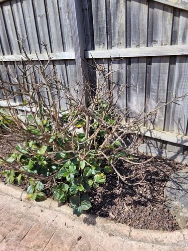 20221009_152025.jpg 20221009_152025.jpg