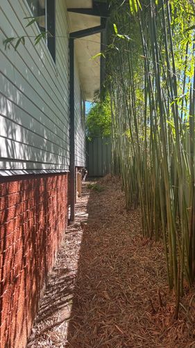 1000017610.jpg 1000017610.jpg