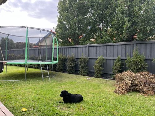 63D4339A-6FDF-4A85-A82F-CBF757B7F938.jpeg 63D4339A-6FDF-4A85-A82F-CBF757B7F938.jpeg