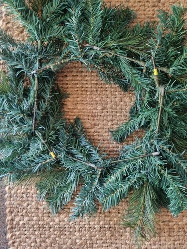 20231210_162739.jpg 20231210_162739.jpg