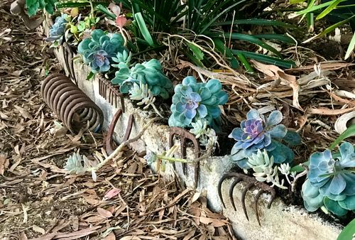 39AF3B04-AF27-4304-AC07-81A10F33ADC7.jpeg 39AF3B04-AF27-4304-AC07-81A10F33ADC7.jpeg