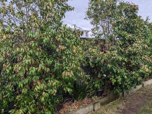 1000005410.jpg 1000005410.jpg