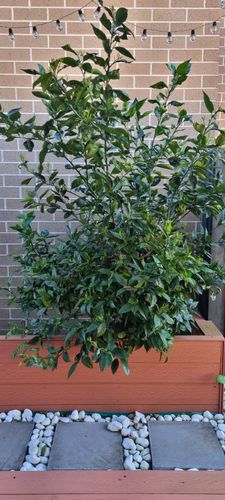 1000142010.jpg 1000142010.jpg