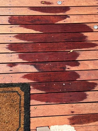 IMG_1426.jpeg IMG_1426.jpeg