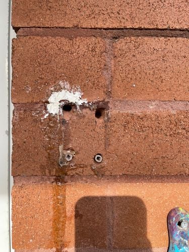 IMG_7645.jpeg IMG_7645.jpeg