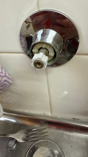 IMG_5940.jpeg IMG_5940.jpeg