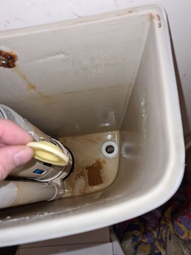 20220617_113910.jpg 20220617_113910.jpg