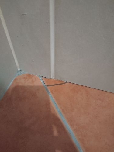 1000008372.jpg 1000008372.jpg