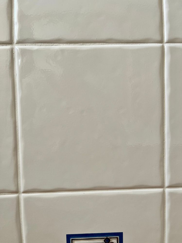 EDC9B6BB-38B0-4BE4-A027-60156684153E.jpeg EDC9B6BB-38B0-4BE4-A027-60156684153E.jpeg