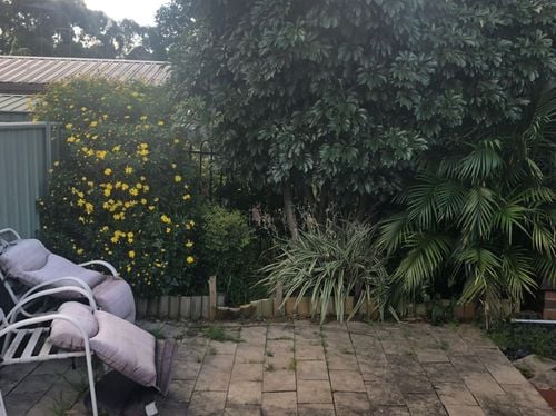 CB4967AC-2ED8-49F0-8C61-6EAADF3E32C9.jpeg CB4967AC-2ED8-49F0-8C61-6EAADF3E32C9.jpeg