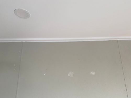 IMG_1924.jpeg IMG_1924.jpeg