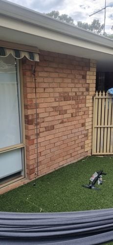 1000004617.jpg 1000004617.jpg