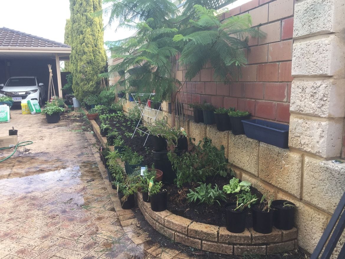 E0F442F6-32E8-4194-8C86-AFCBE4706184.jpeg E0F442F6-32E8-4194-8C86-AFCBE4706184.jpeg