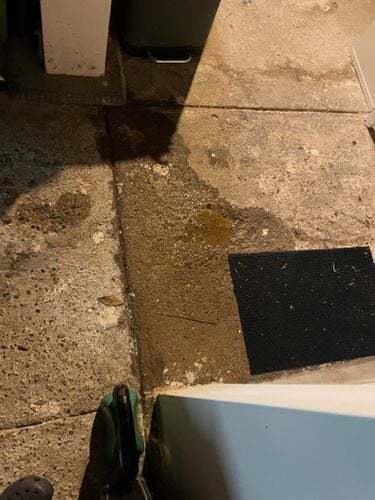 IMG_0728.jpeg IMG_0728.jpeg