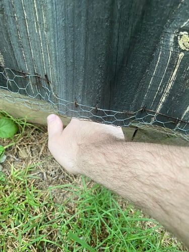 427867000_1050147756085452_7007270758545947768_n.jpg 427867000_1050147756085452_7007270758545947768_n.jpg