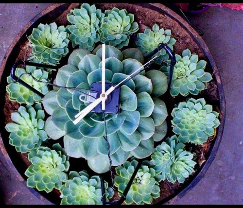 E7374855-2A1E-44CF-AA6A-0AAD79D8D11B.jpeg E7374855-2A1E-44CF-AA6A-0AAD79D8D11B.jpeg