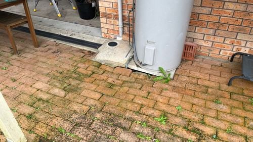 IMG_6114(1).JPEG IMG_6114(1).JPEG