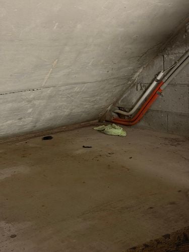 IMG_3715.jpeg IMG_3715.jpeg