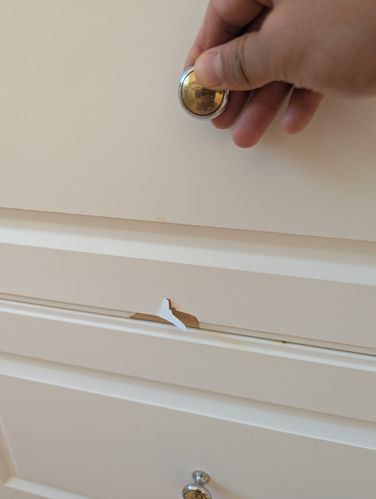 1000102113.jpg 1000102113.jpg