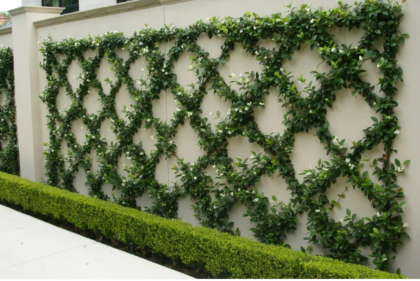 diamond trellis.PNG diamond trellis.PNG