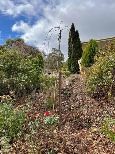 2BD01754-BC1B-4D89-B549-ADAE6804D15F.jpeg 2BD01754-BC1B-4D89-B549-ADAE6804D15F.jpeg