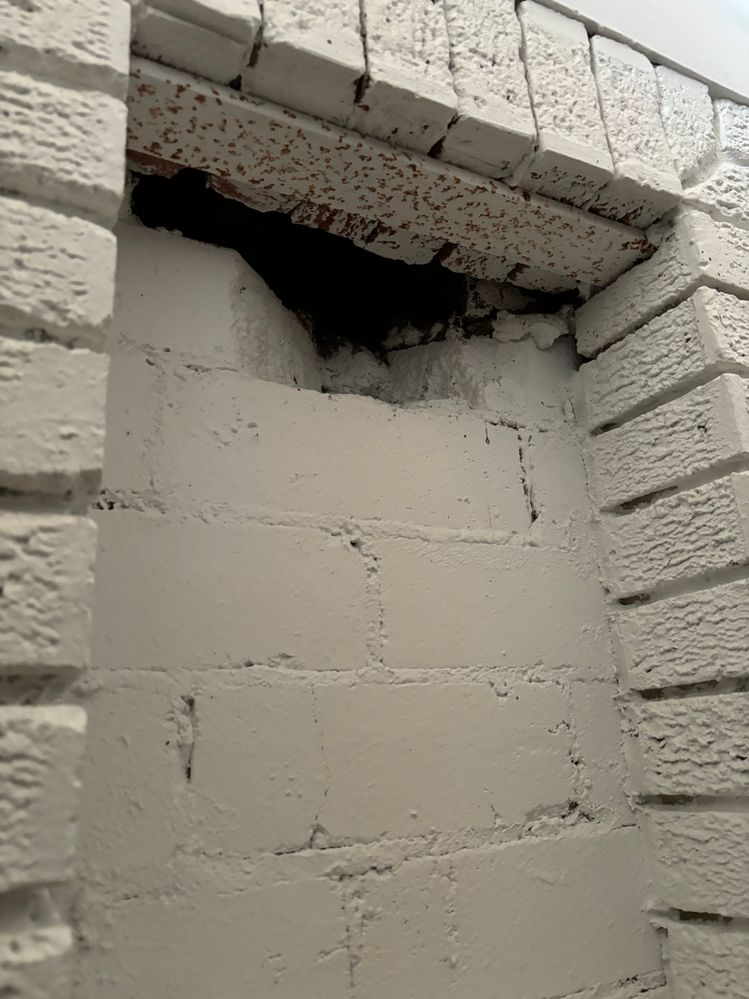 IMG_2549.jpeg IMG_2549.jpeg