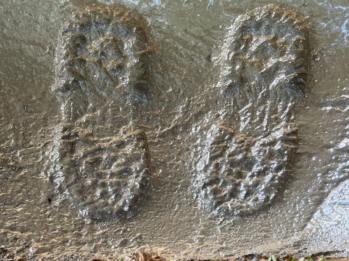 IMG_9541.jpeg IMG_9541.jpeg